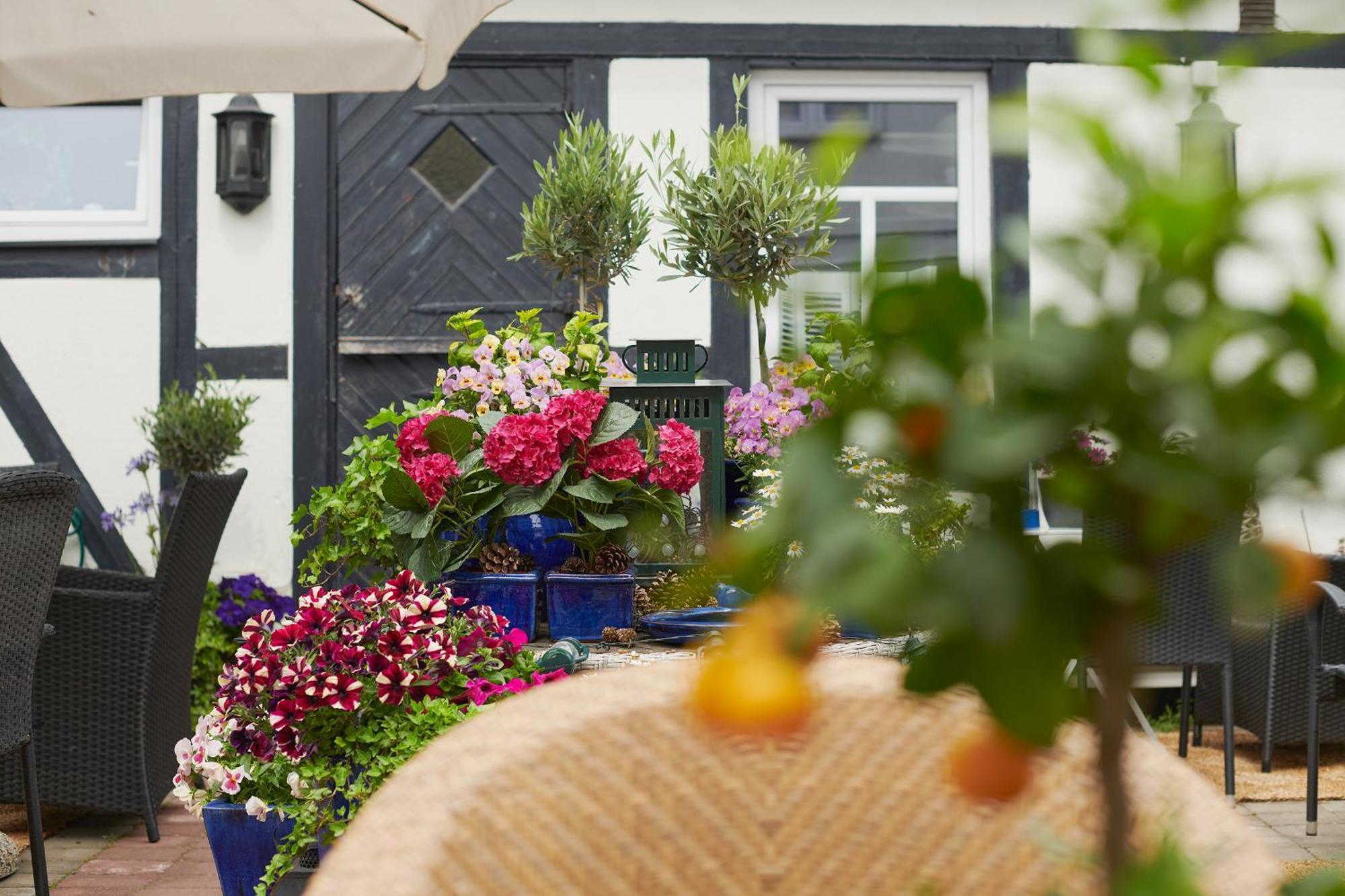 Hotell Baeckagarden Истад Екстериор снимка